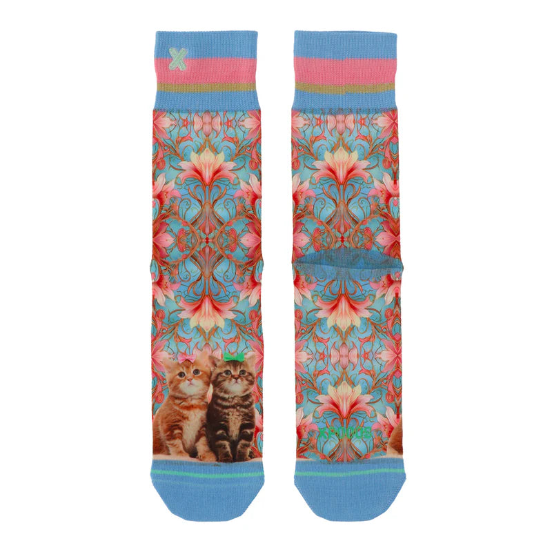 Socks Cats