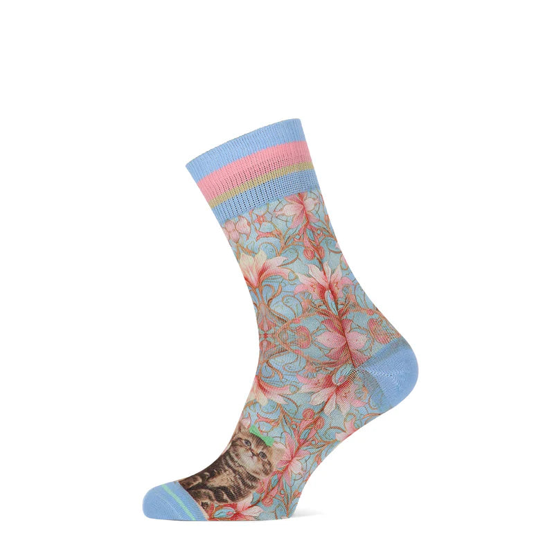Socks Cats