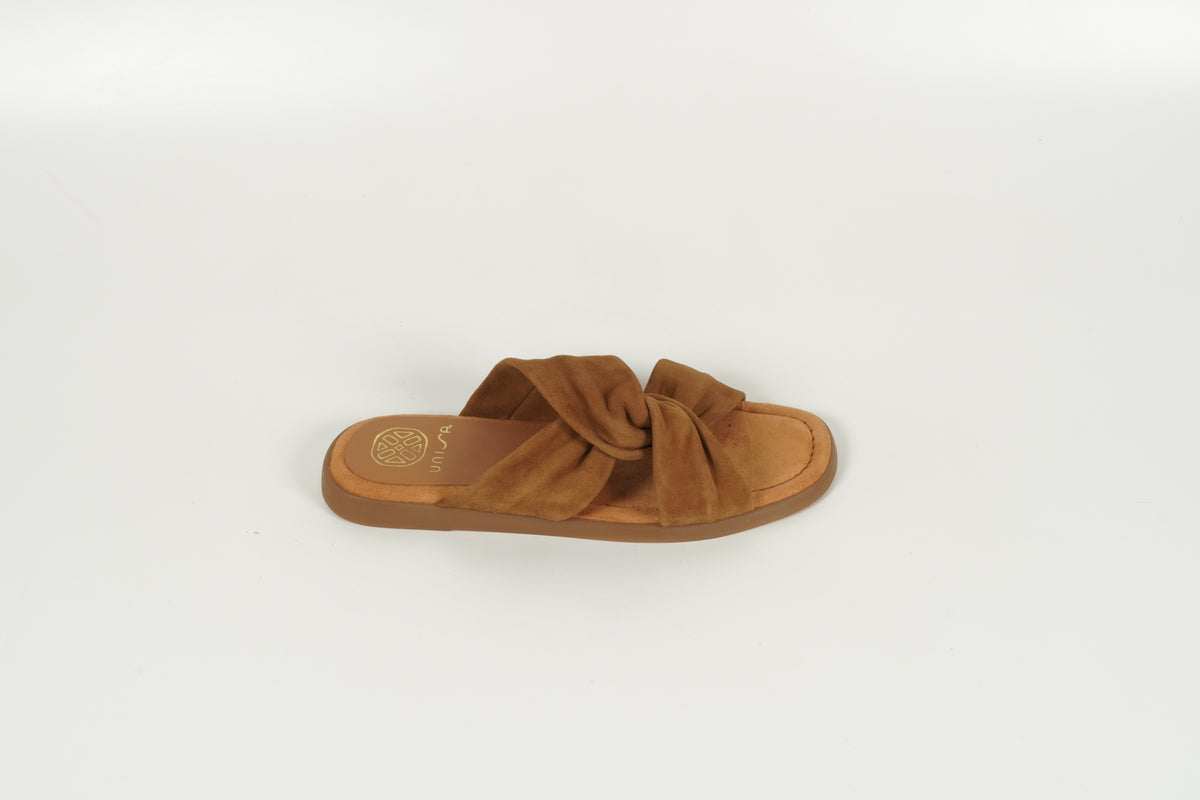 Mule marron