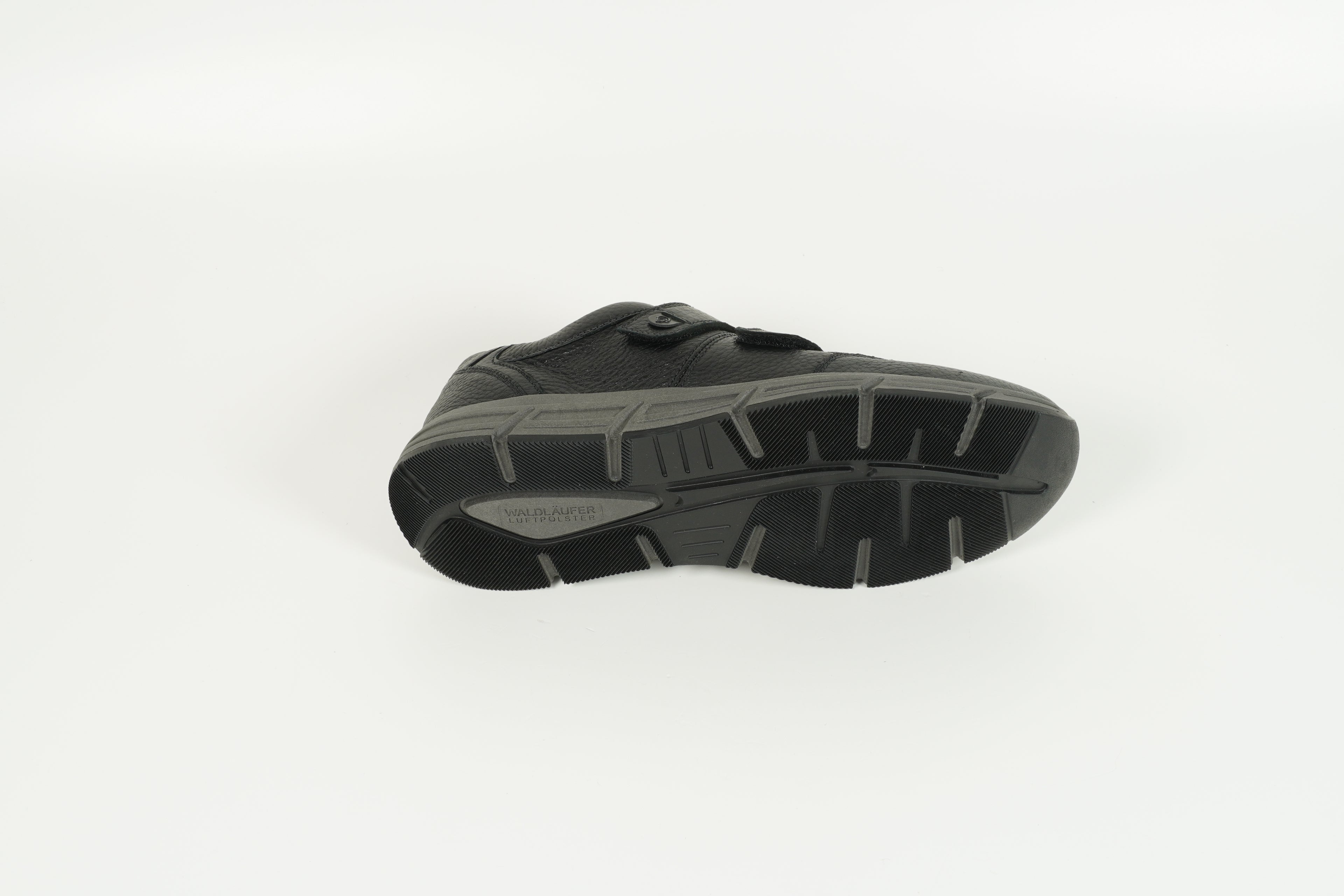 323304 199 001 Cerf noir