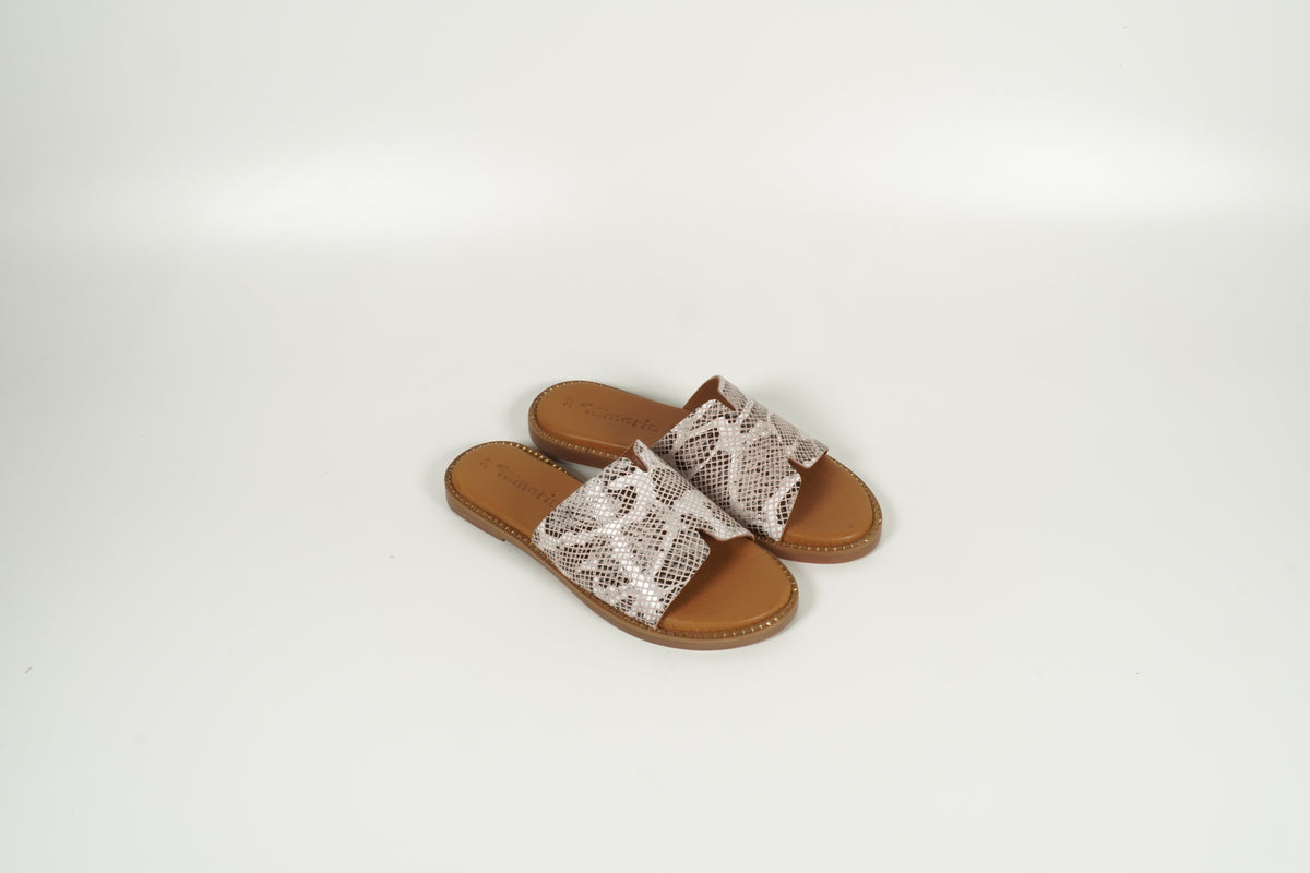 Multi-purpose mule