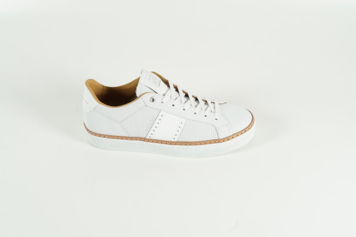 Sneaker White