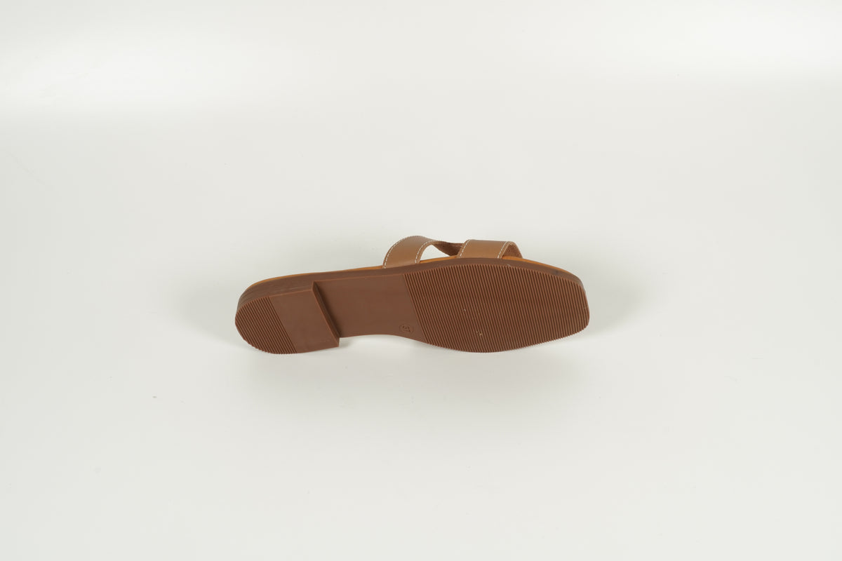 Mule marron