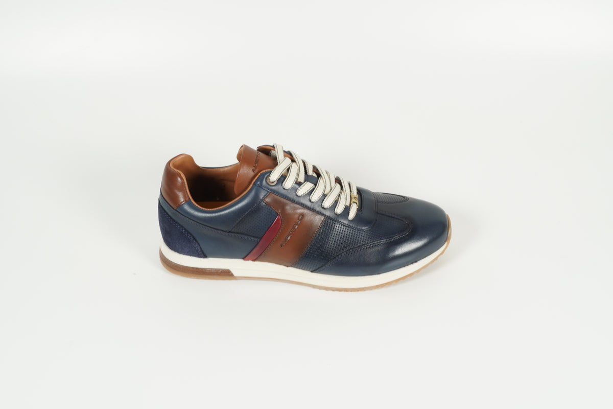Sneaker Blue