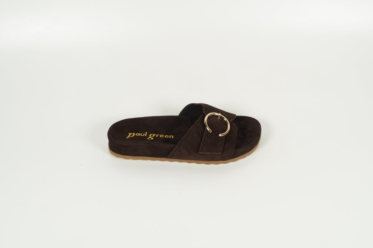 Mule marron