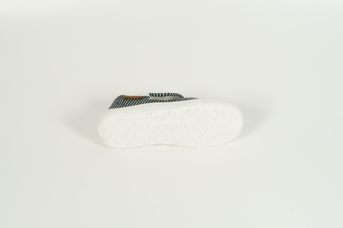 Pinsons Enfant Bleu