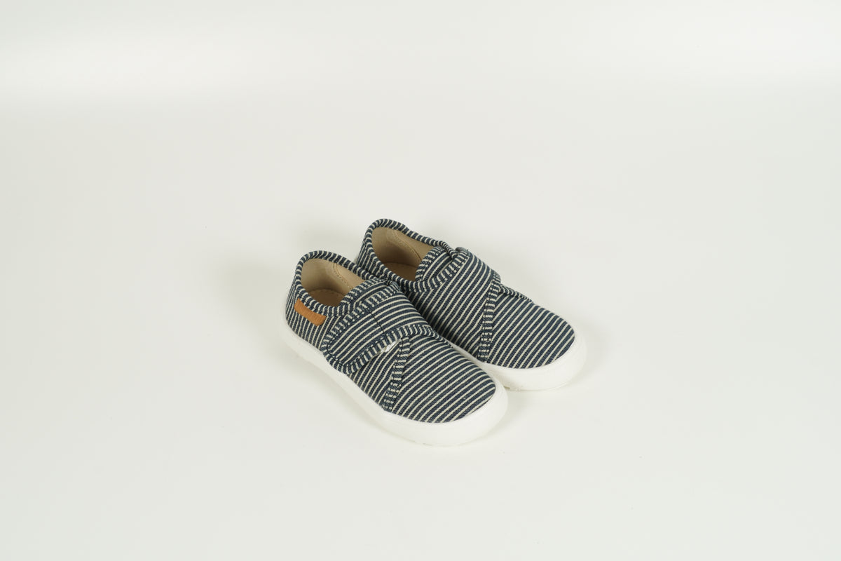 Pinsons Enfant Bleu