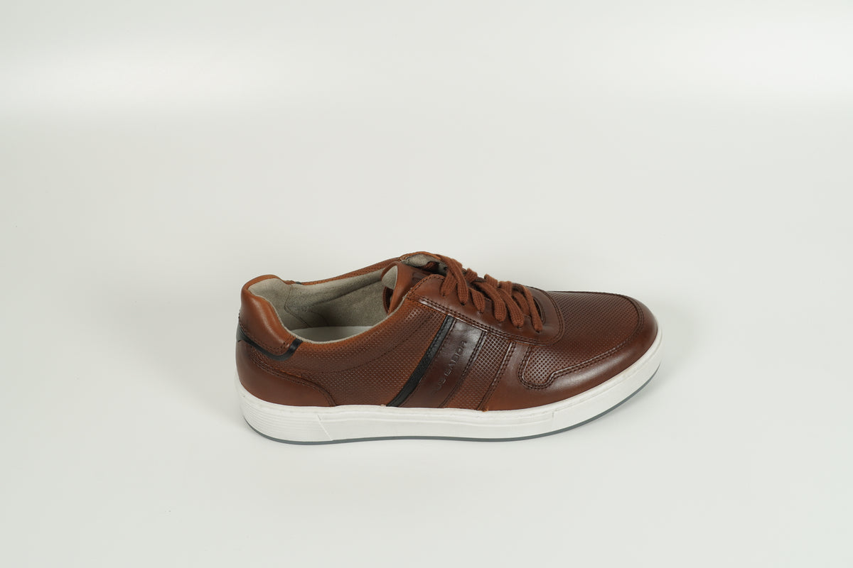 Sneaker Braun