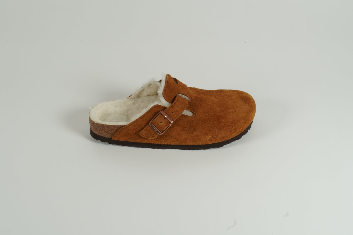 Finken Boston marron nourri