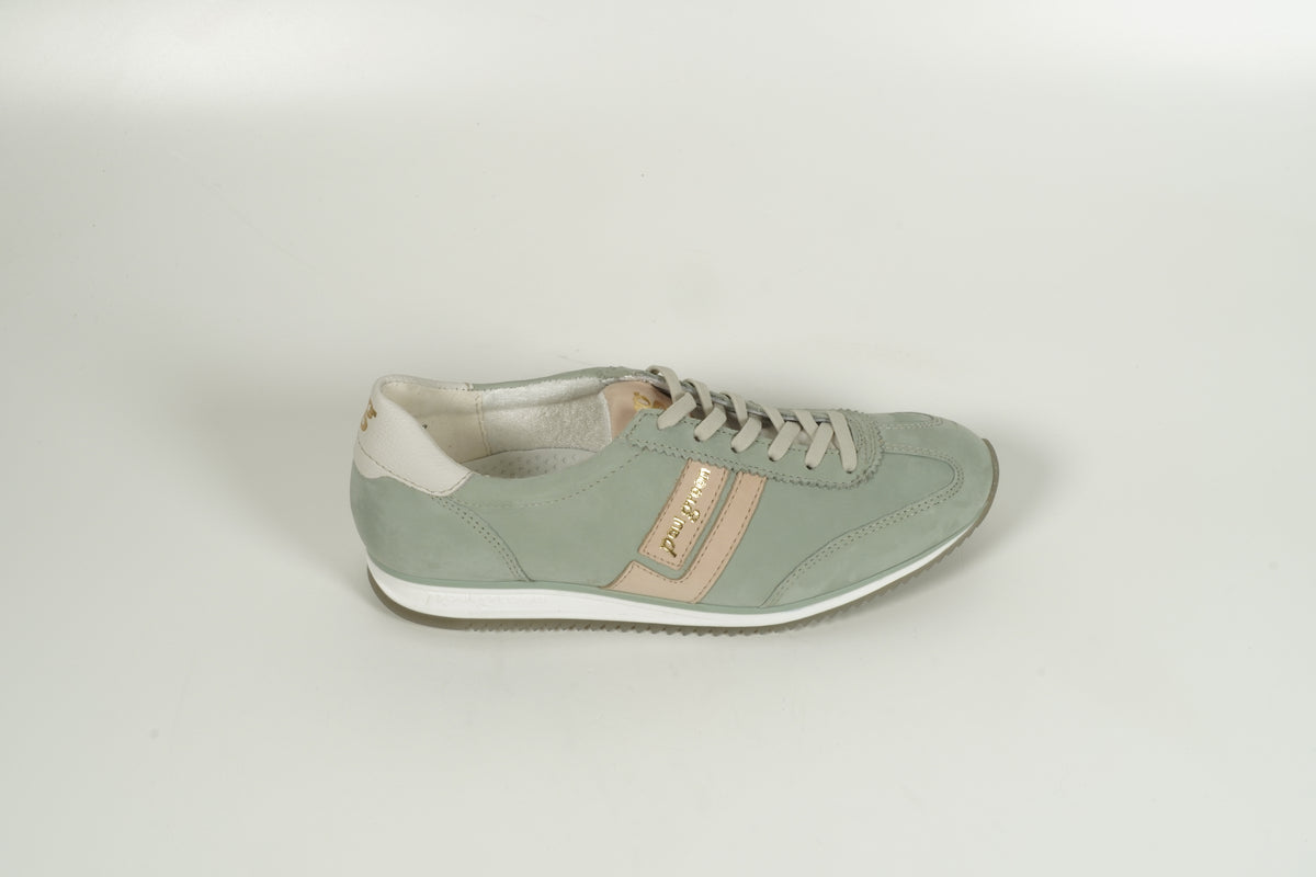 Sneaker Green