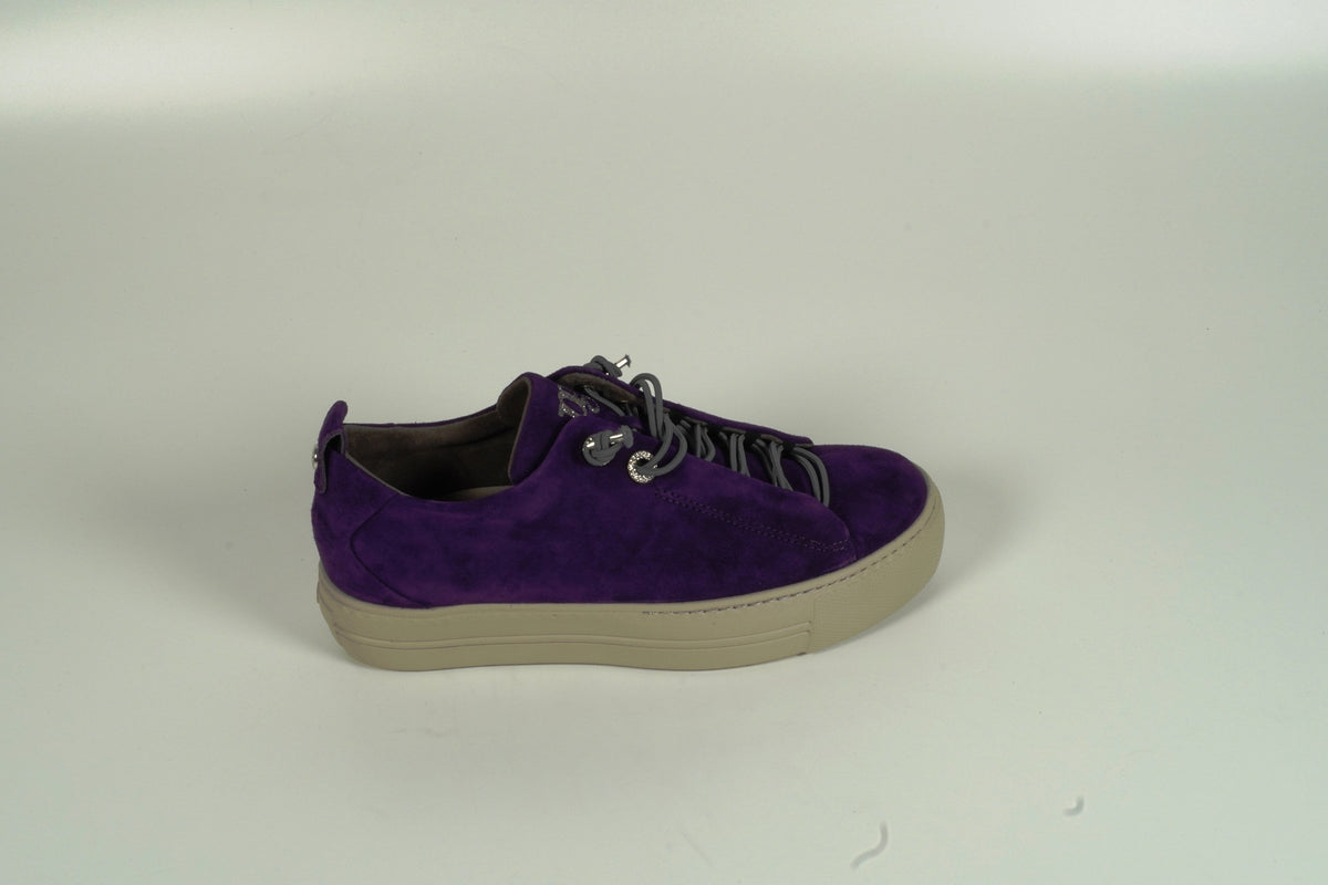 Baskets violettes
