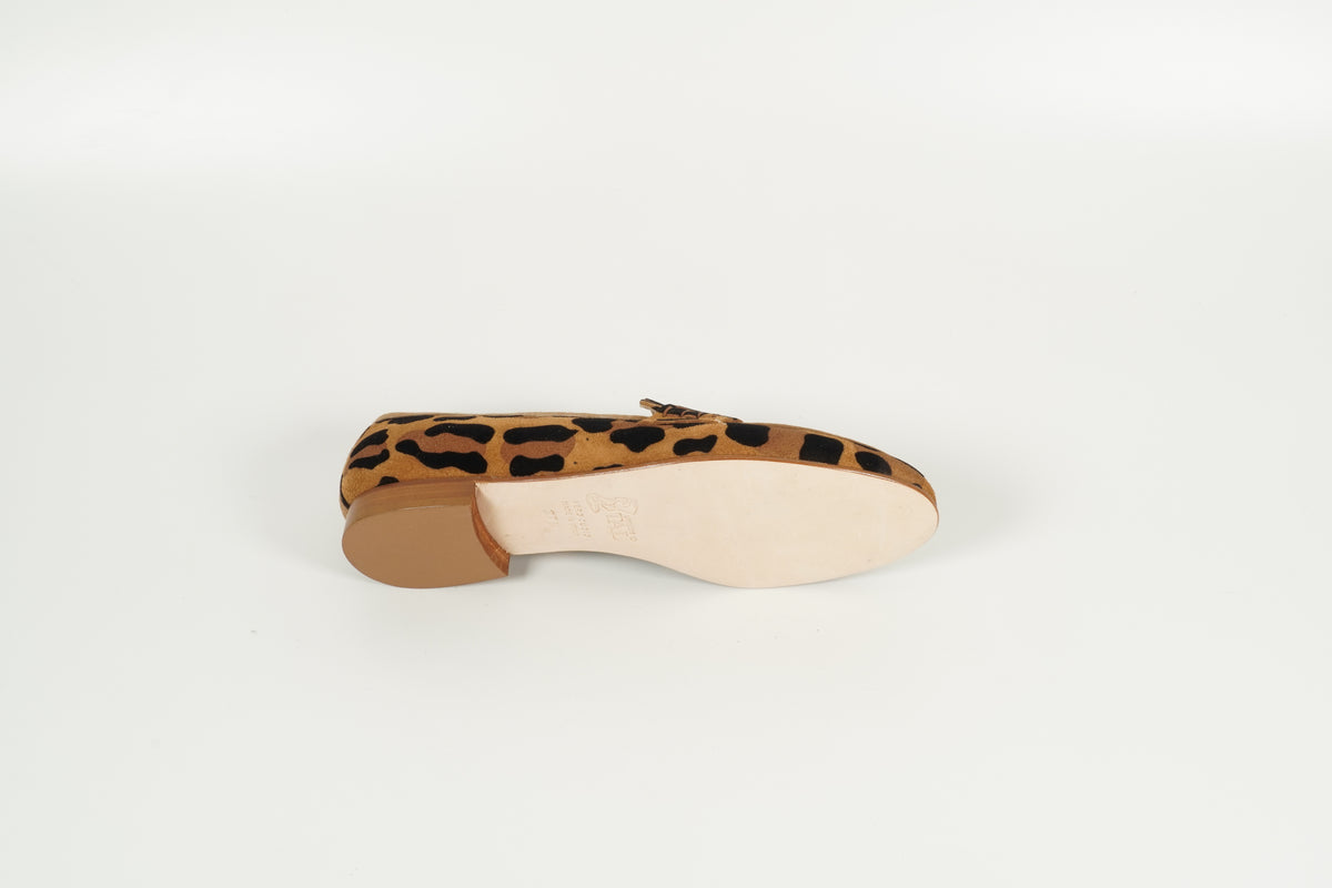 Moccasin Leo