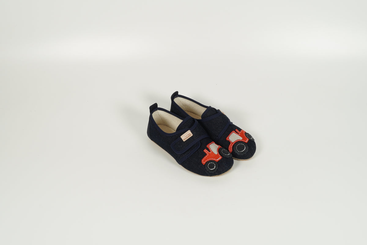 Pinsons Enfant Bleu