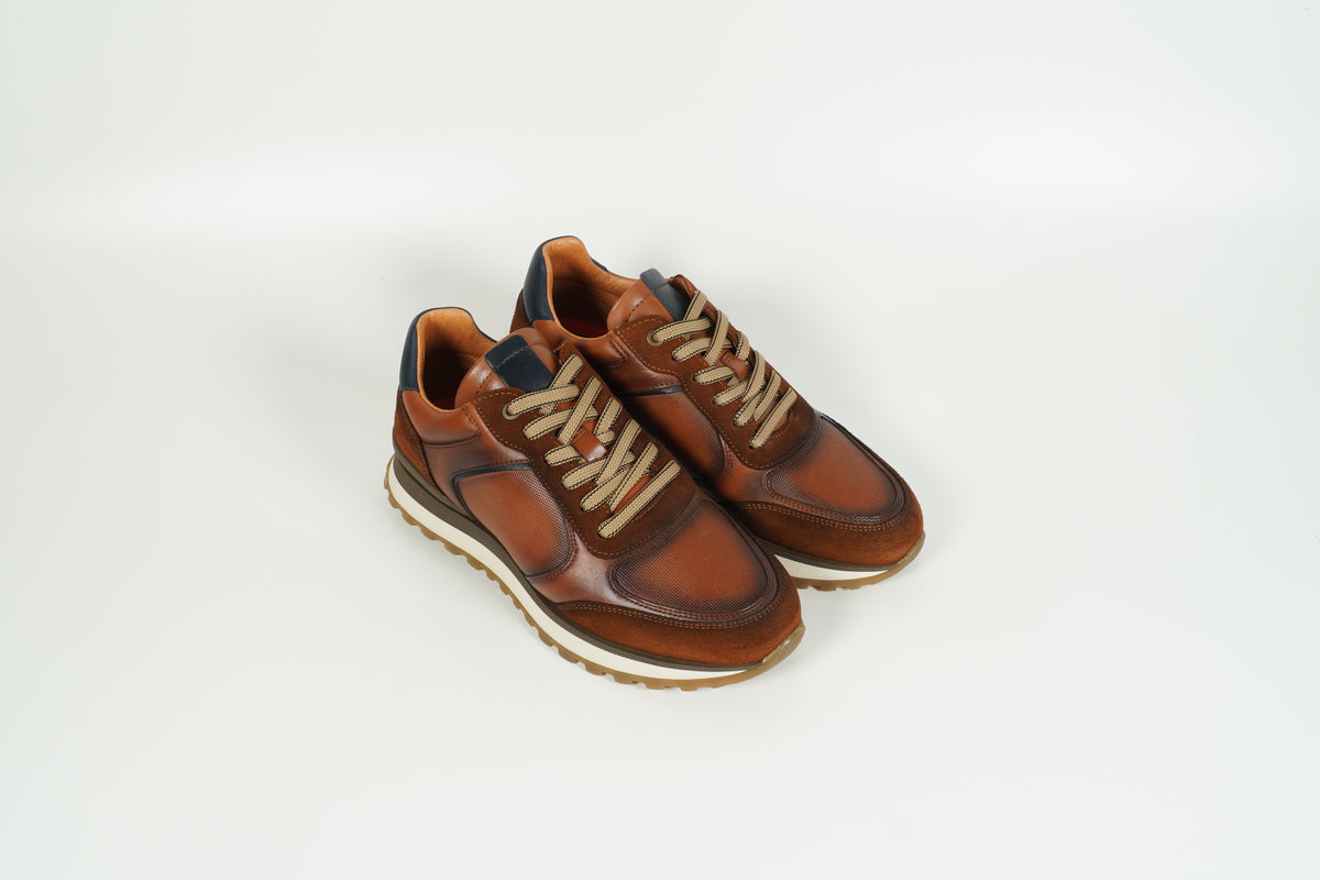 Sneaker Braun