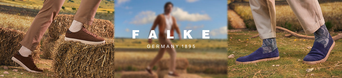 Falke