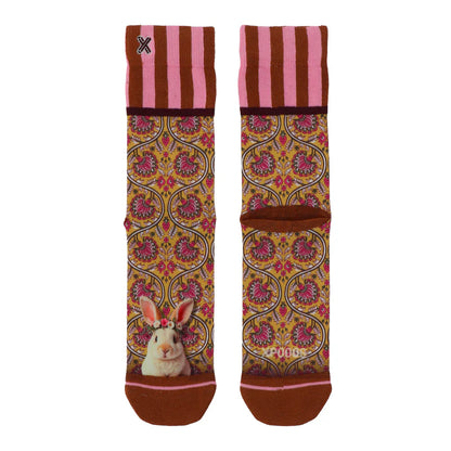Socks Bunny