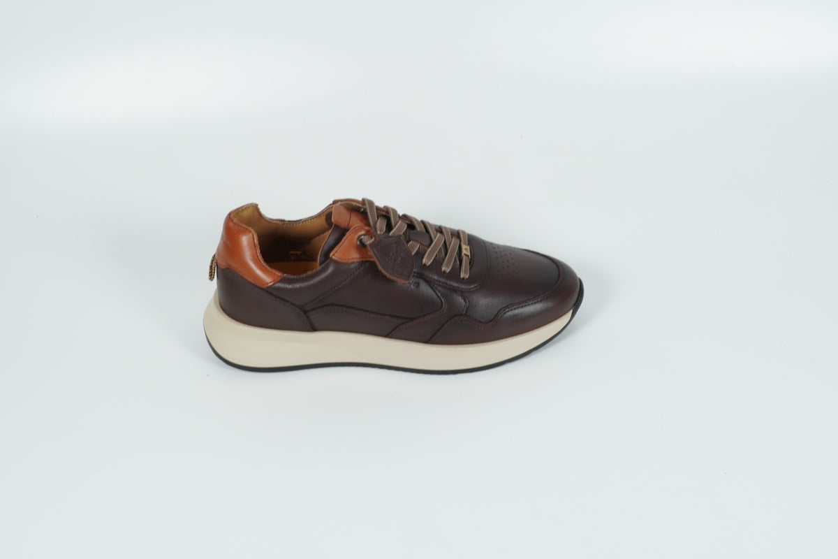 Sneaker Braun