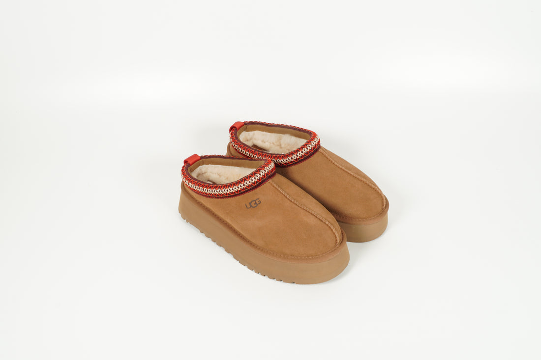 Tazz Chestnut
