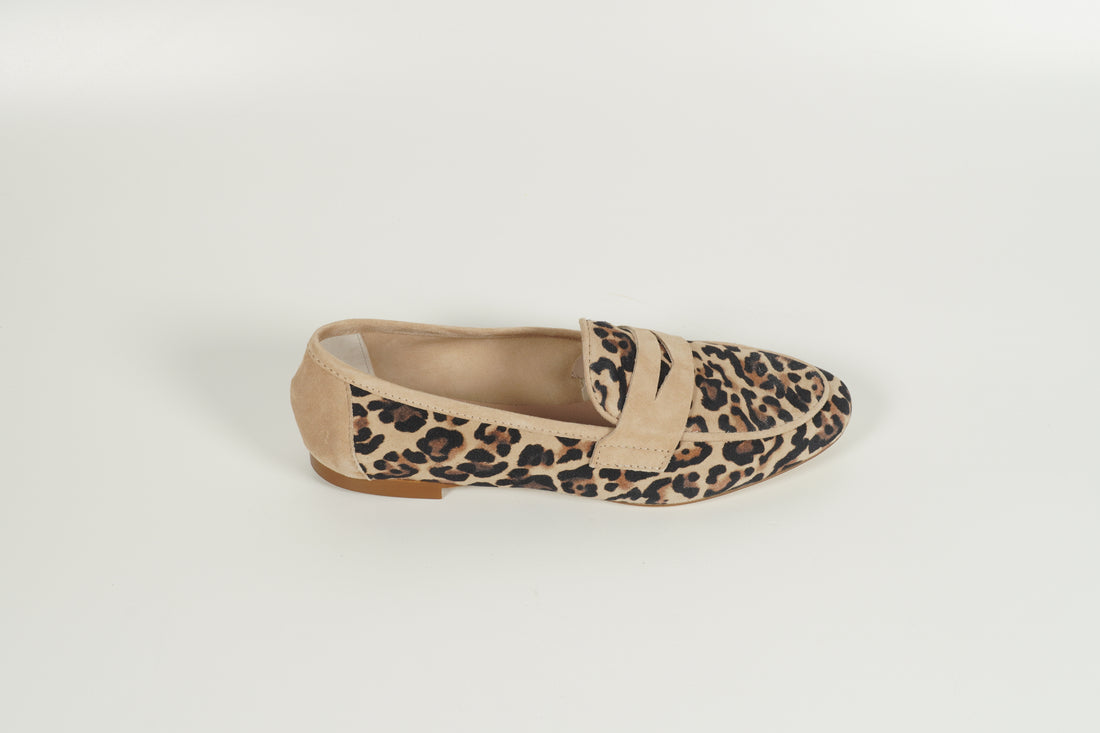 Moccasin Leo