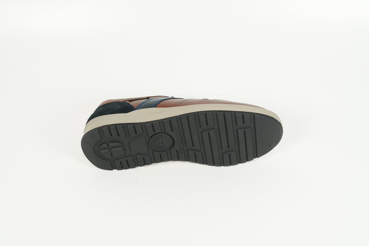 Sneaker Vito Braun