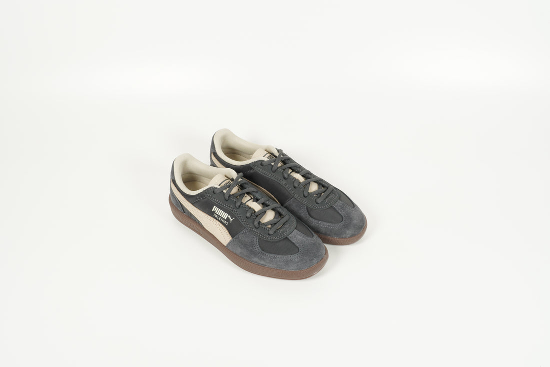 403257 03 dusky gray desert du