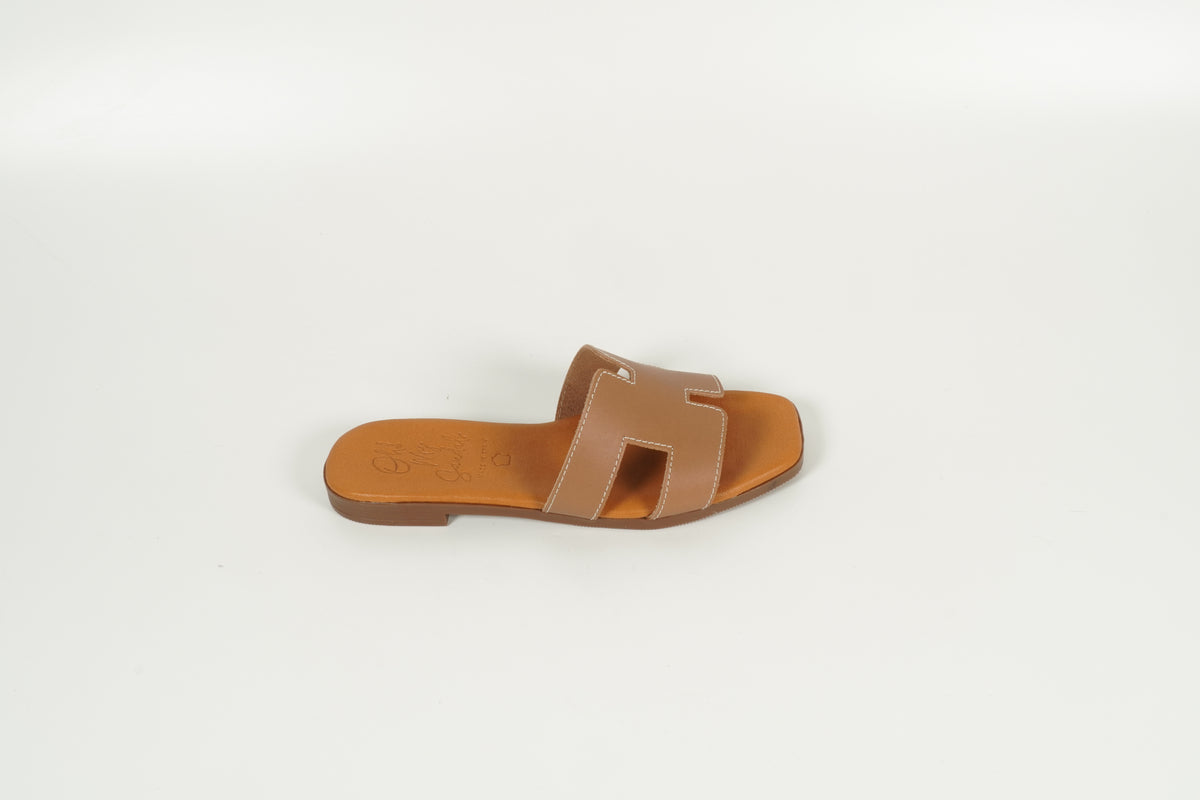 Mule marron