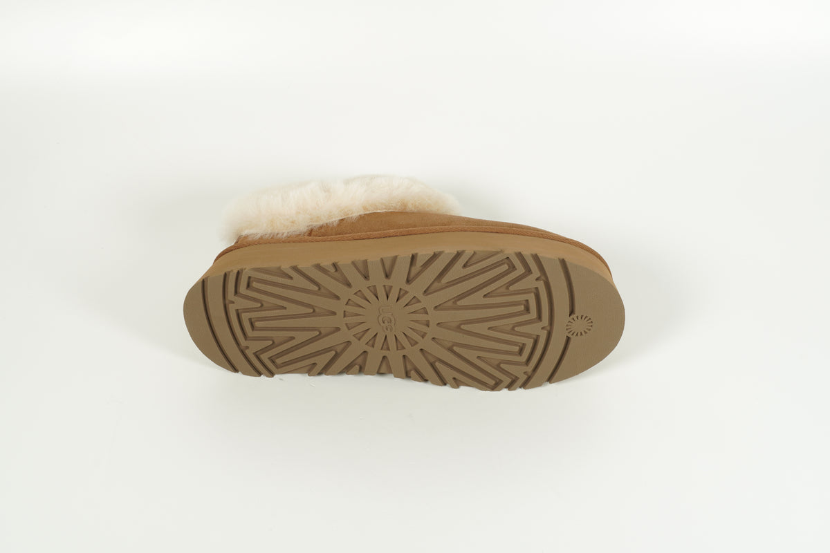 Tazzelle Chestnut