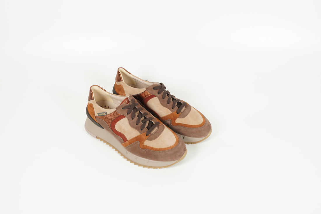 Sneaker Braun