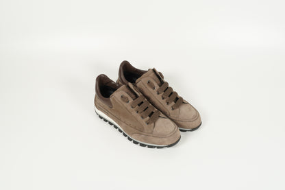 Sneaker Braun