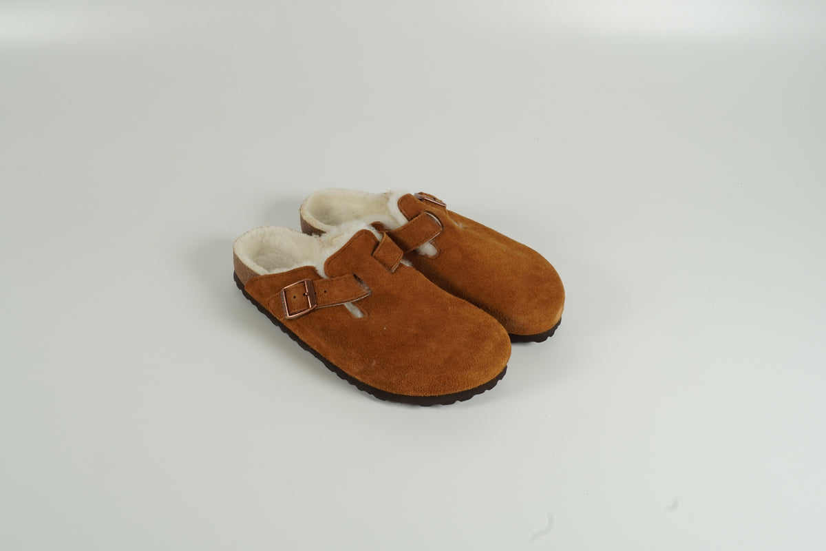 Finken Boston marron nourri