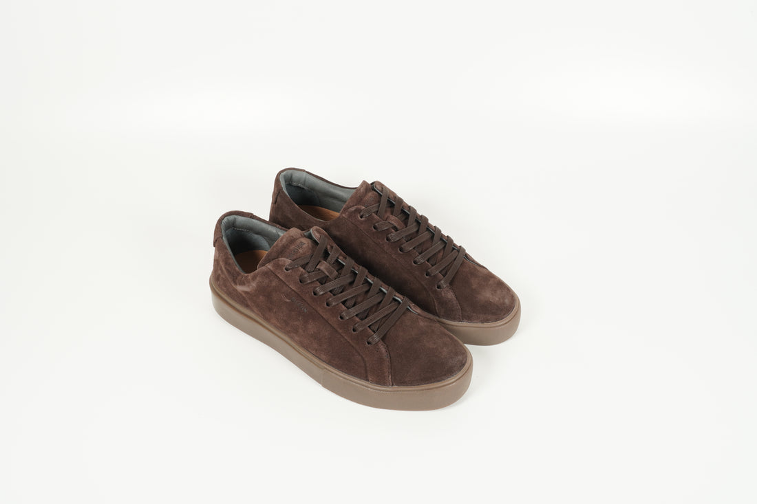 Sneaker Braun