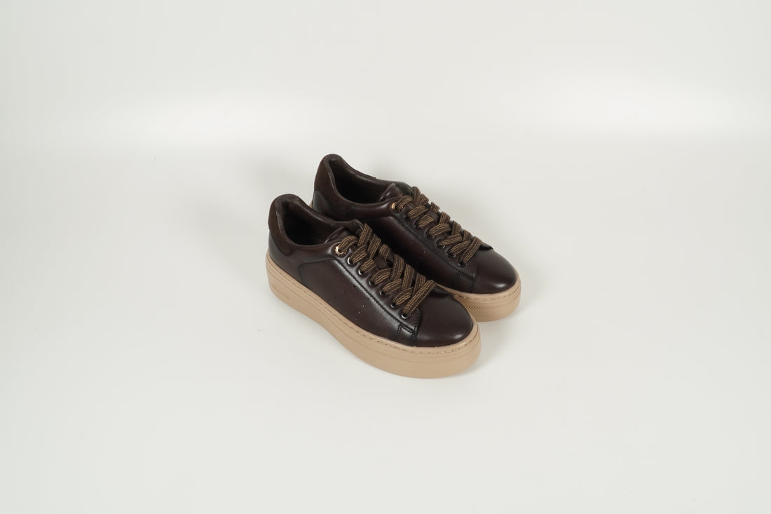 Sneaker Braun