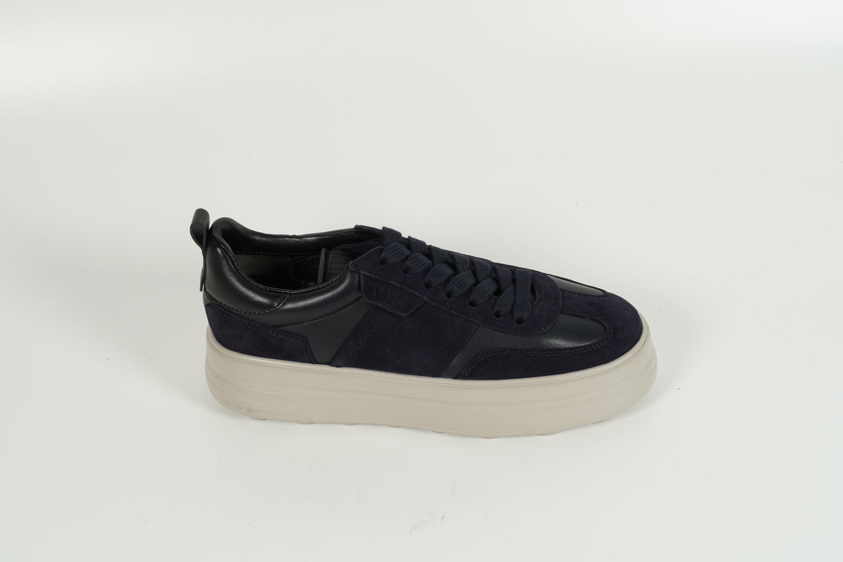 Baskets bleues