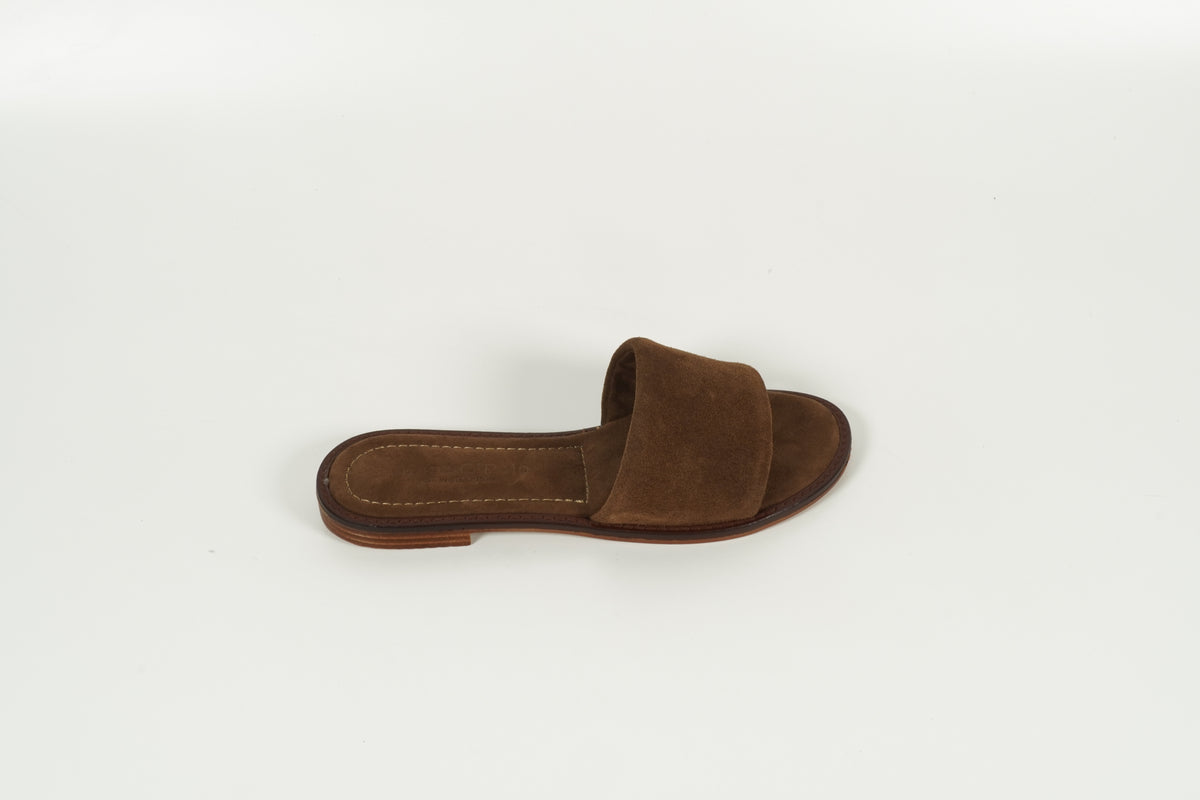 Mule marron