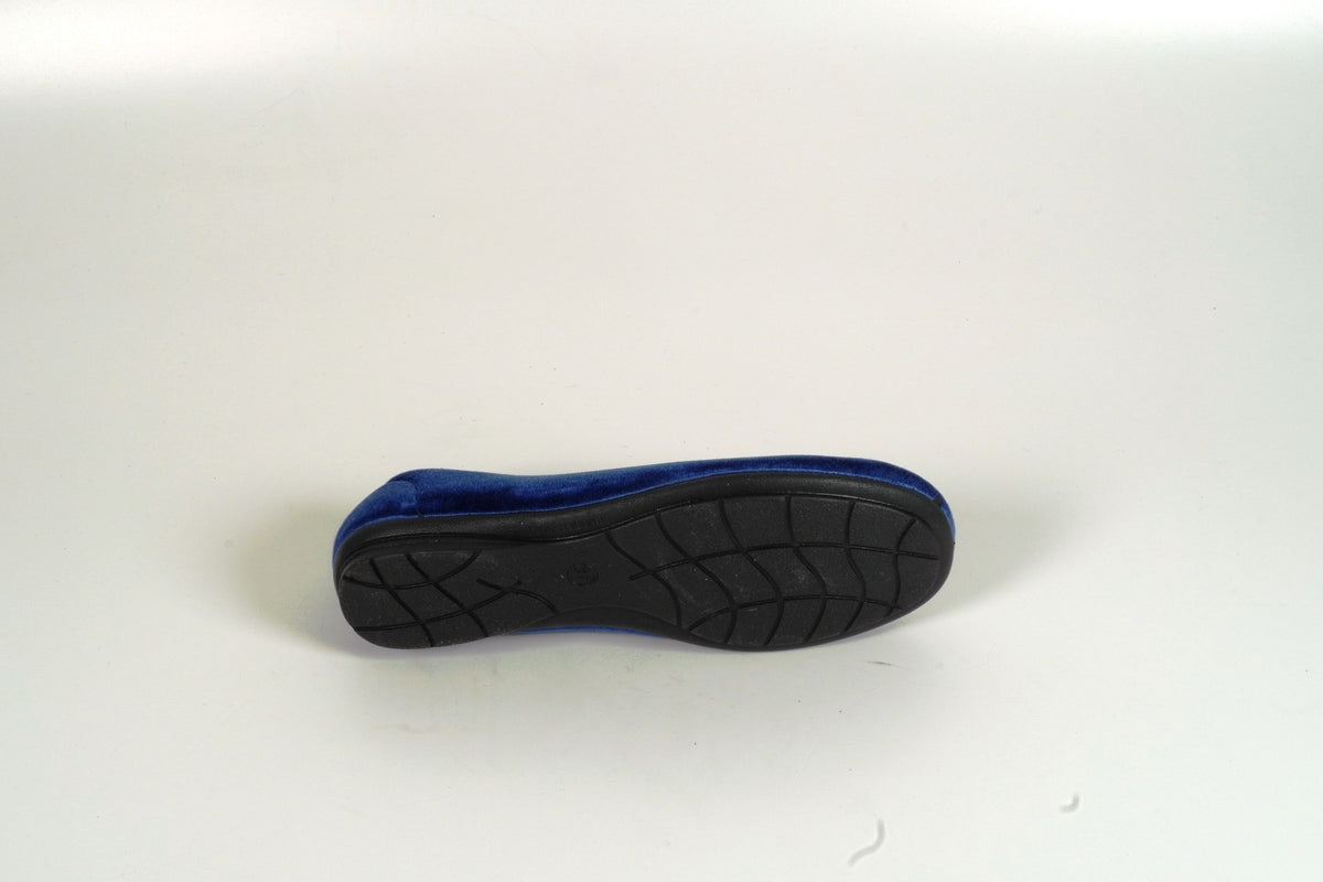 Pinsons Bleu
