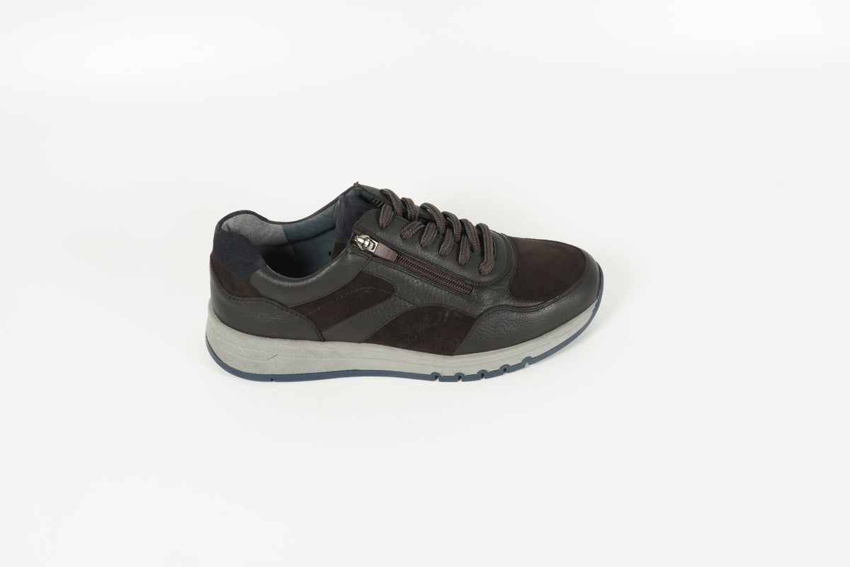 Sneaker Braun