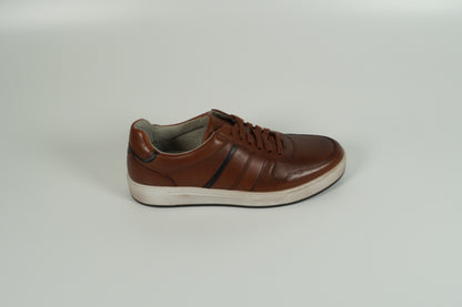 Sneaker Brown