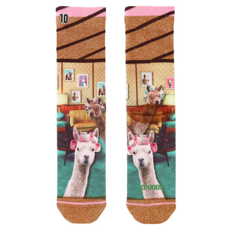 Alpaca socks