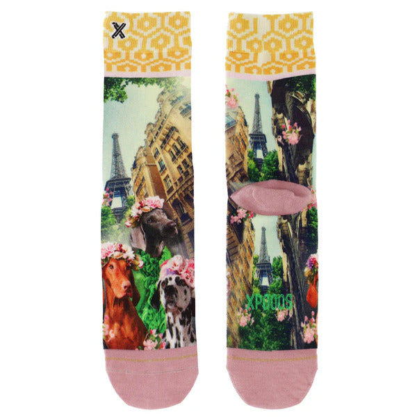 Socks Paris